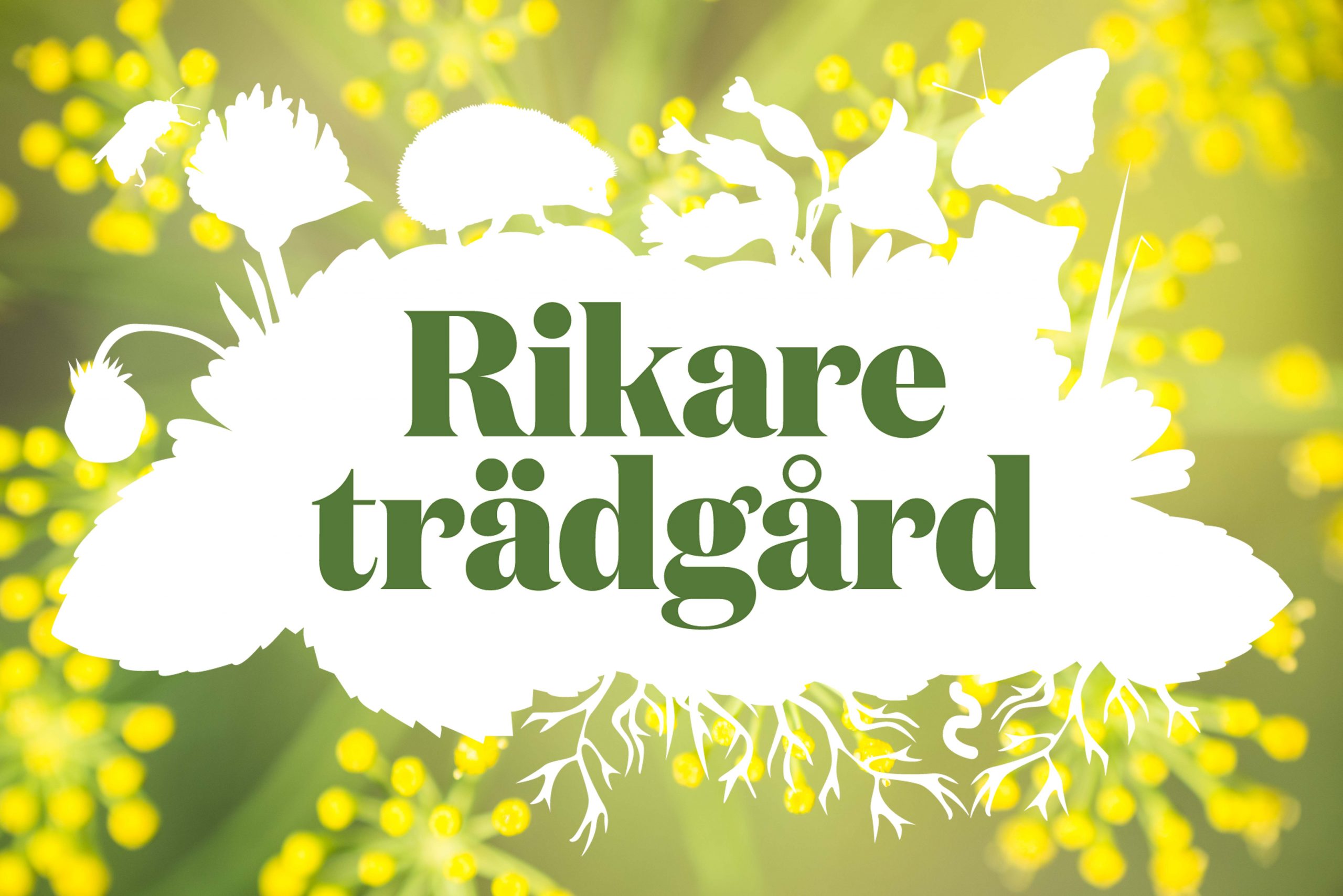 Biologisk mångfald Rikare Trädgård - FOR - Fritidsodlingens riksorganisation