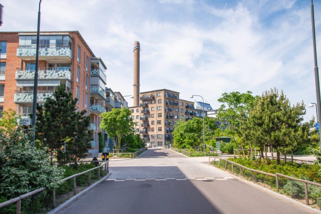 planteringar i cementparken