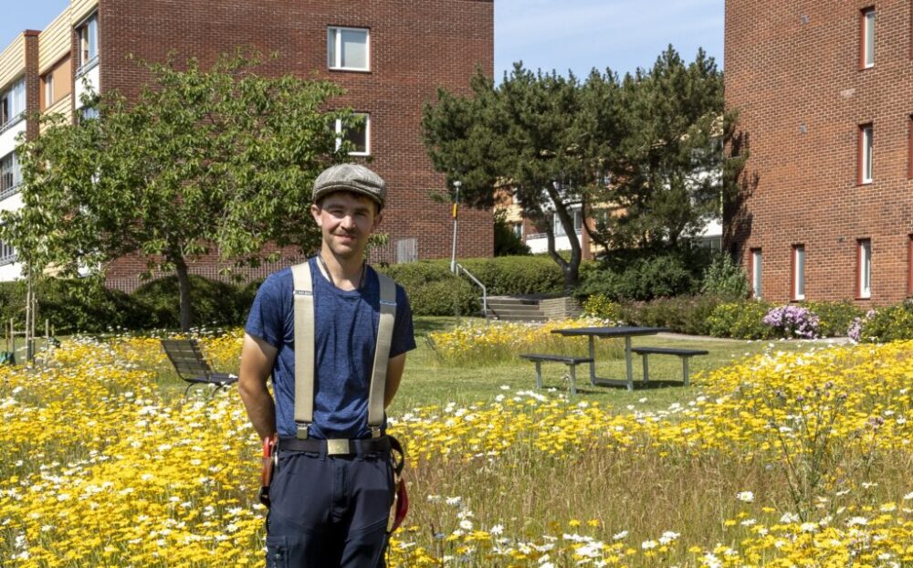 Rikare Trädgård 2025