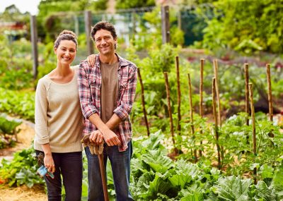 Shot of a mature couple working in their organic garden