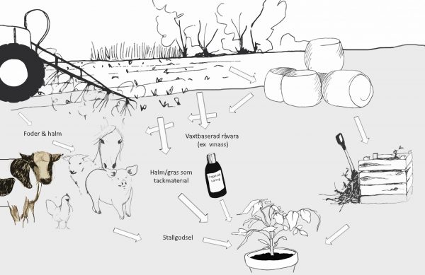 Illustration växtnäring_liggande_grå Illustration växtnäring_liggande_grå