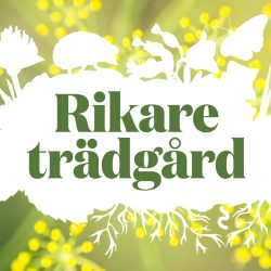 RikareTrädgård_bild