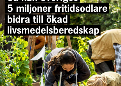 fritidsodlare 29 april